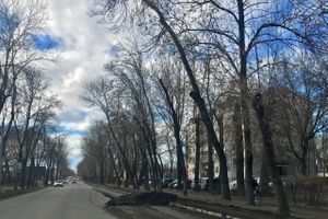 В Великих Луках очищают обочины улиц от снега и грязи (ФОТО)