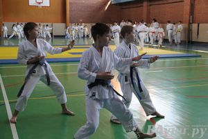 Турнир по каратэ