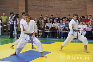 Великолучане стали победителями турнира по каратэ «Неприкосновенный запас, дети — Отчизны 2015» (фото)