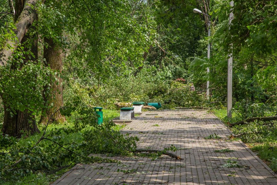 Небезразличные великолучане помогают убрать город после урагана (ФОТО)
