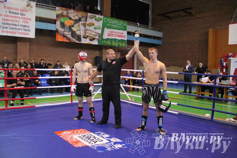 В Великих Луках прошел межрегиональный Открытый Кубок по смешанному боевому единоборству (фото)