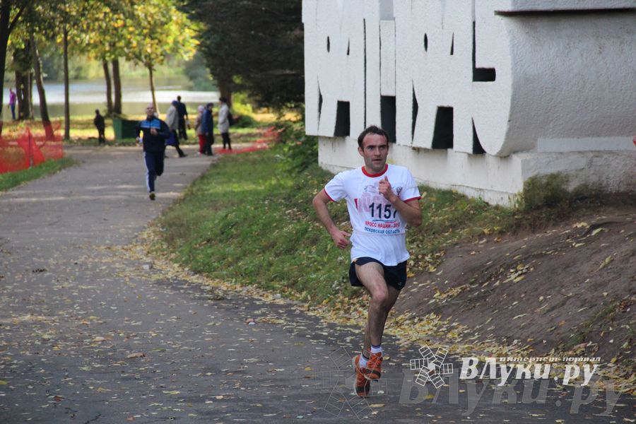 Кросс нации