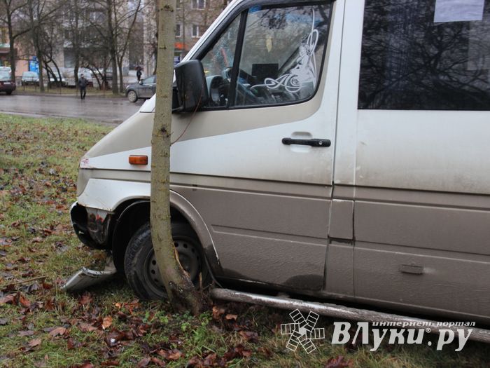На улице Пушкина водитель врезался в дерево (ФОТО)