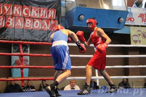 16-й Международный турнир по боксу (фото)