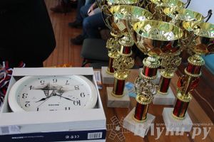 Чемпионат Псковской области по ММА