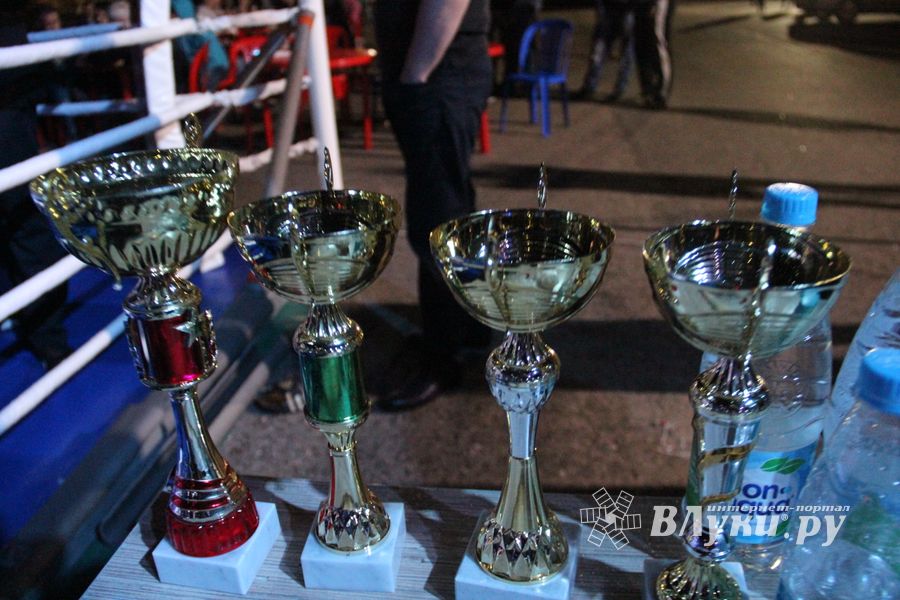 В Великих Луках прошли бои по смешанным боевым единоборствам ММА (фото)