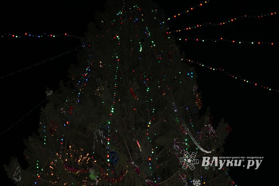 Праздник городской новогодней елки