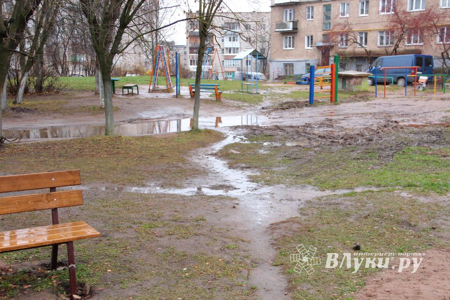 Заместитель губернатора области оценил спортивную площадку в Великих Луках, но еще больше — грязь и ямы (ФОТО)