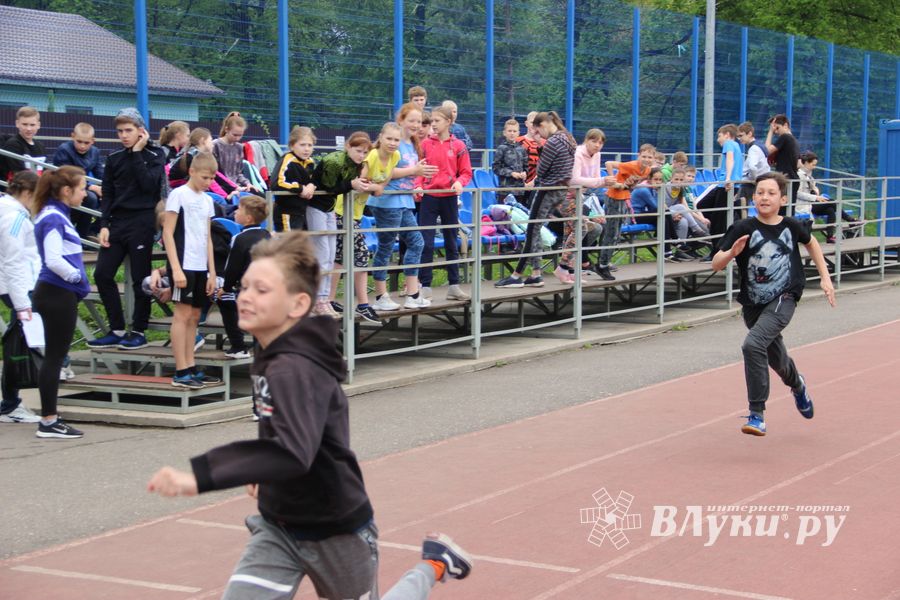 Великолукские школьники сдают ГТО (ФОТО)