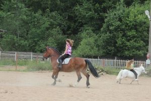 Увлекательную экскурсию для детей организовал Общественный совет при УМВД России по Псковской области (фото)