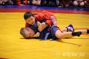 Великолучане стали первыми в общекомандном зачете турнира по самбо «Память»