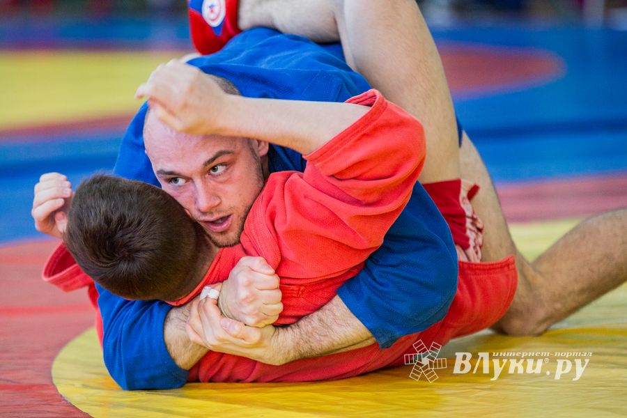Фото: Александр Воробьев Великолучане завоевали награды Всероссийских соревнований по самбо