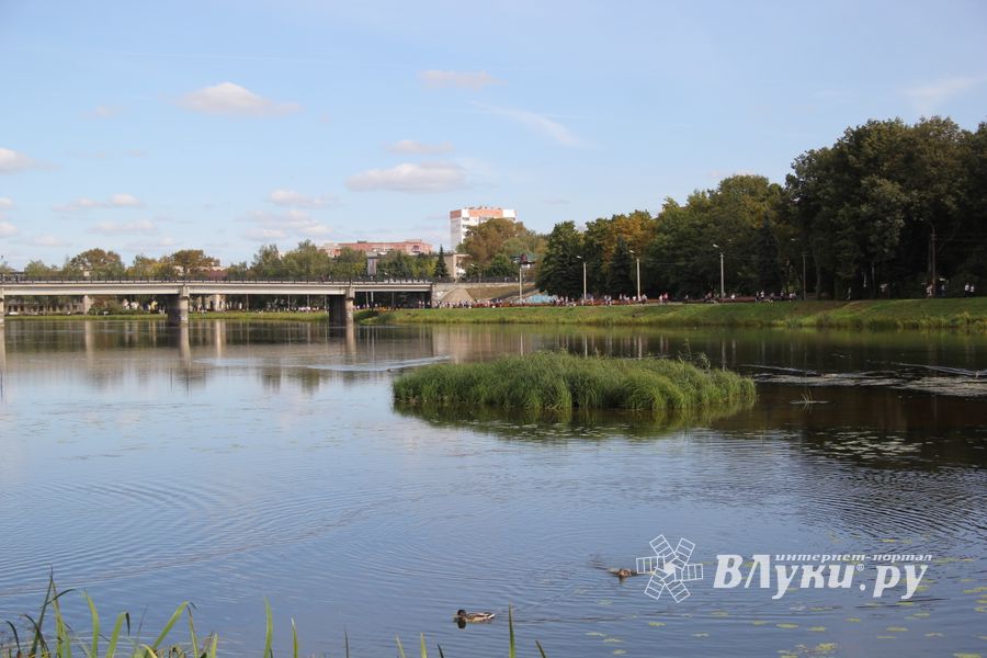 В Великих Луках прошёл «Кросс Нации-2018» (ФОТО)