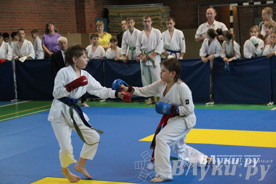 Турнир по каратэ «Неприкосновенный запас — дети Отчизны»