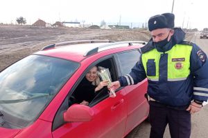 «Цветочный патруль» прошёл в Великолукском и Куньинском районах (ФОТО)