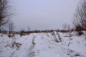 Губернатору не понравилось место для новой школы в Великих Луках (ФОТО)