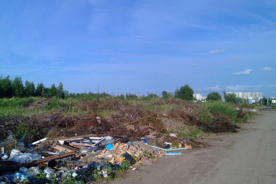 В Великих Луках, на берегу Лазавицы, сваливают кресты, венки и мебель (ФОТО)