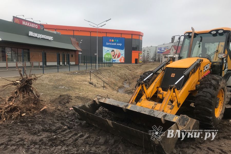 Русло Ситовки очистили от мусора (ФОТО)