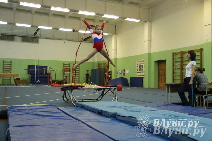 В Великих Луках состоялось Первенство по командной гимнастике (фото)