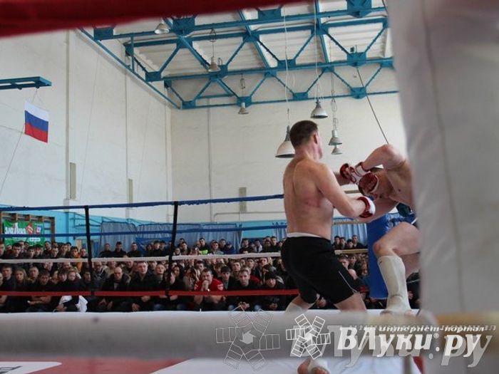 Чемпионат Псковской области по ММА