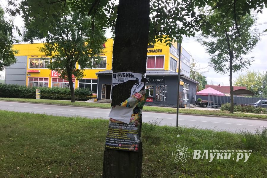 «Прибинтовали» скотчем (ФОТО)