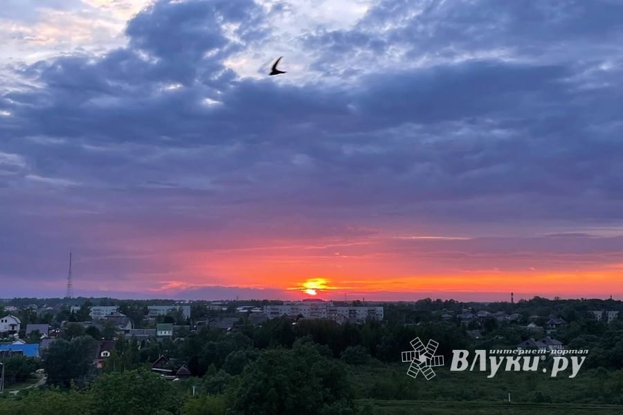ВЛуки.ру