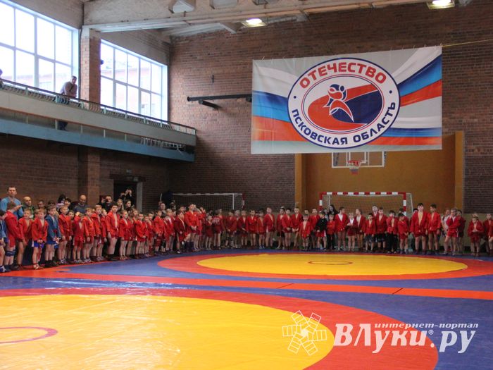 Открытый турнир по самбо «Новогодняя звезда-2019» прошел в Великих Луках (ФОТО)