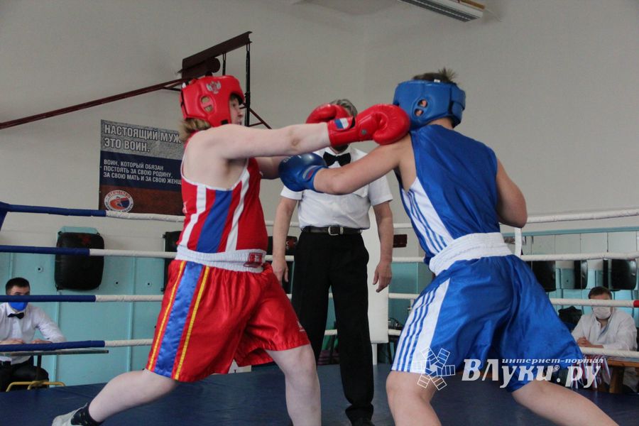 В Великих Луках завершился открытый турнир по боксу (ФОТО)