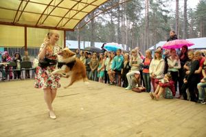 Работа в детских лагерях продолжается (ФОТО)