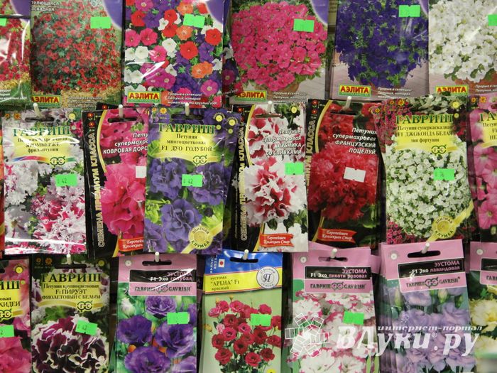 В ДК ЛК открылась 7-я Великолукская универсальная выставка (ФОТО, ВИДЕО)