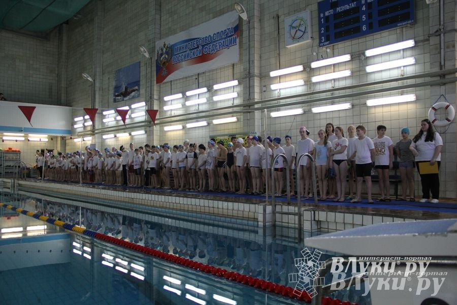 В Великих Луках прошло Первенство по плаванию (фото)