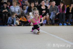 В Великих Луках прошло Первенство по художественной гимнастике (фото)