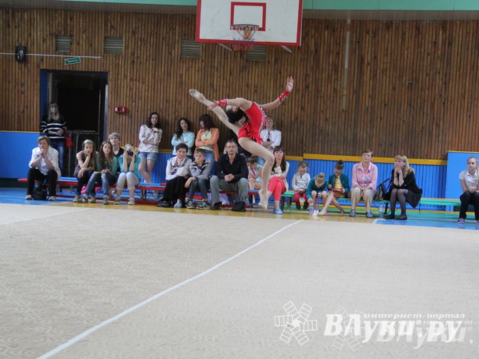 В Великих Луках прошло Первенство по художественной гимнастике (фото)