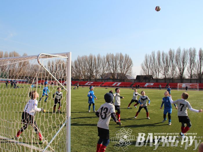 В Великих Луках прошел международный детский турнир по футболу «Наши надежды»