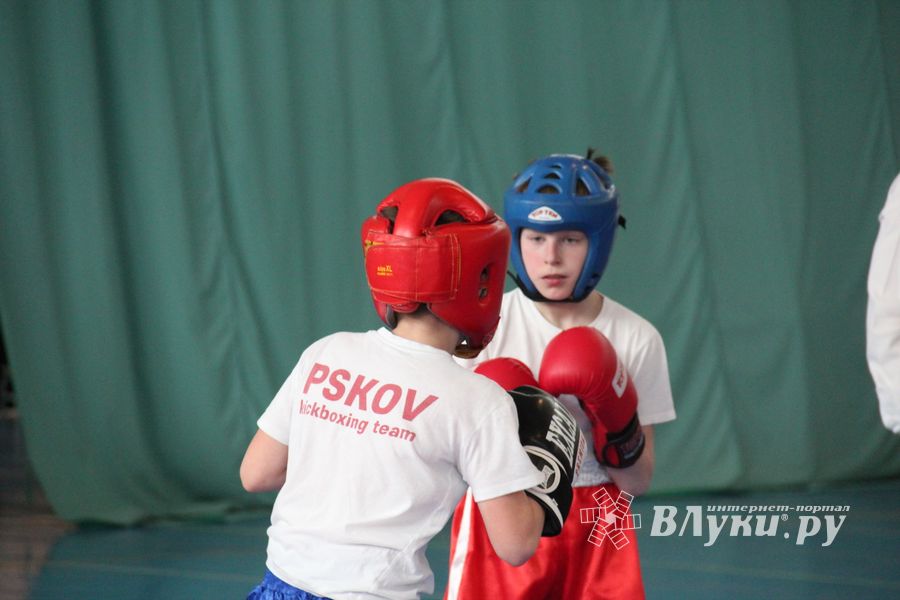 В Великих Луках проходит Кубок по кикбоксингу (ФОТО) (0+)