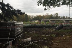 В Великих Луках ремонтирую набережную реки Ловать (фото)