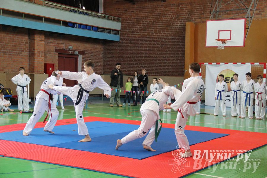 В Великих Луках прошло Первенство по тхэквондо (фото)
