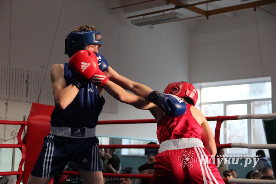 В Великих Луках завершились соревнования по боксу (ФОТО)