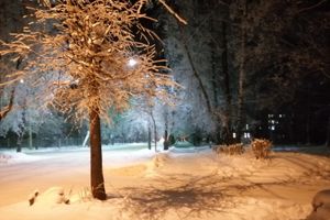 © ВЛуки.ру
