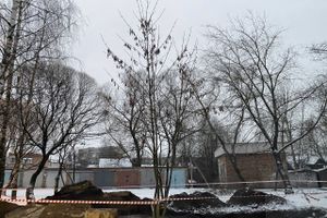 В Великих Луках восстанавливают теплоснабжение на улице Зенцовской (ФОТО)