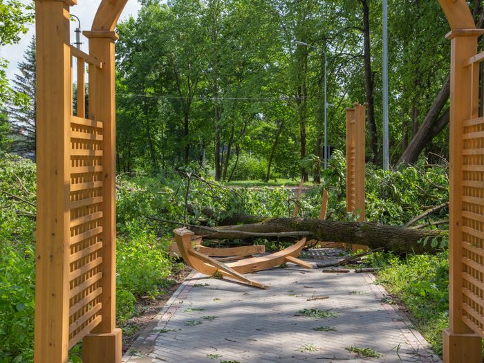 Небезразличные великолучане помогают убрать город после урагана (ФОТО)