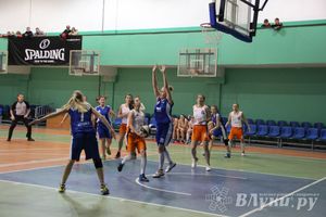 В Великих Луках состоялась игра в рамках Чемпионата АСБ (фото)