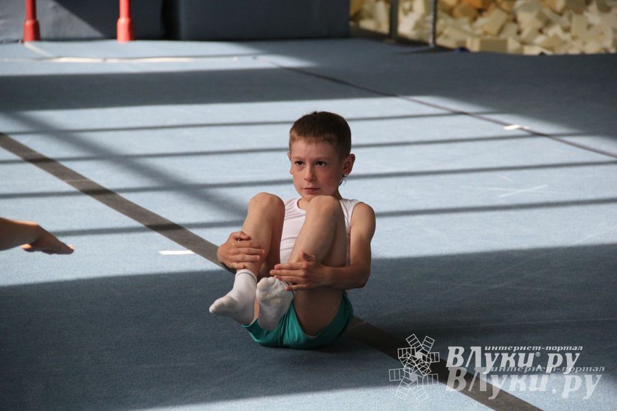 В Великих Луках состоялось Первенство по командной гимнастике (фото)