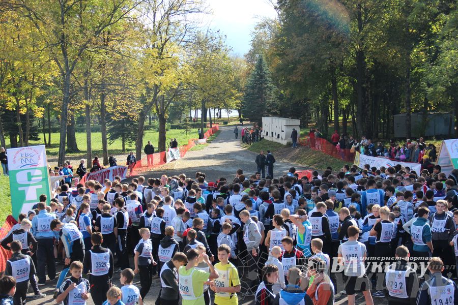 Кросс нации