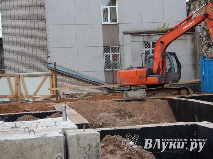 В скором времени нерадивых великолучан станет проще изолировать (ФОТО)