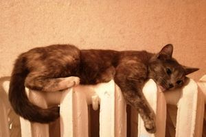 © ВЛуки.ру