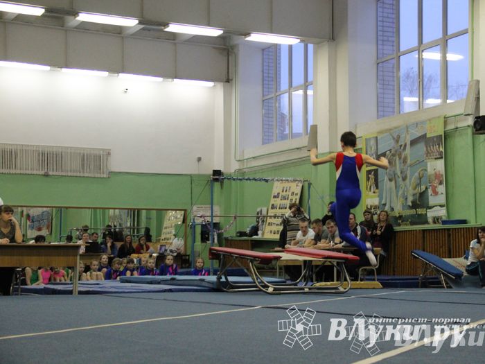 В Великих Луках состоялось Первенство по командной гимнастике (фото)