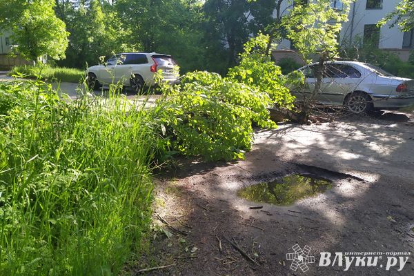 На ул. Нелидовской затруднено движение (ФОТО)