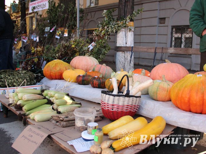 Торговая ярмарка «Осень-2016» прошла в Великих Луках (ФОТО)