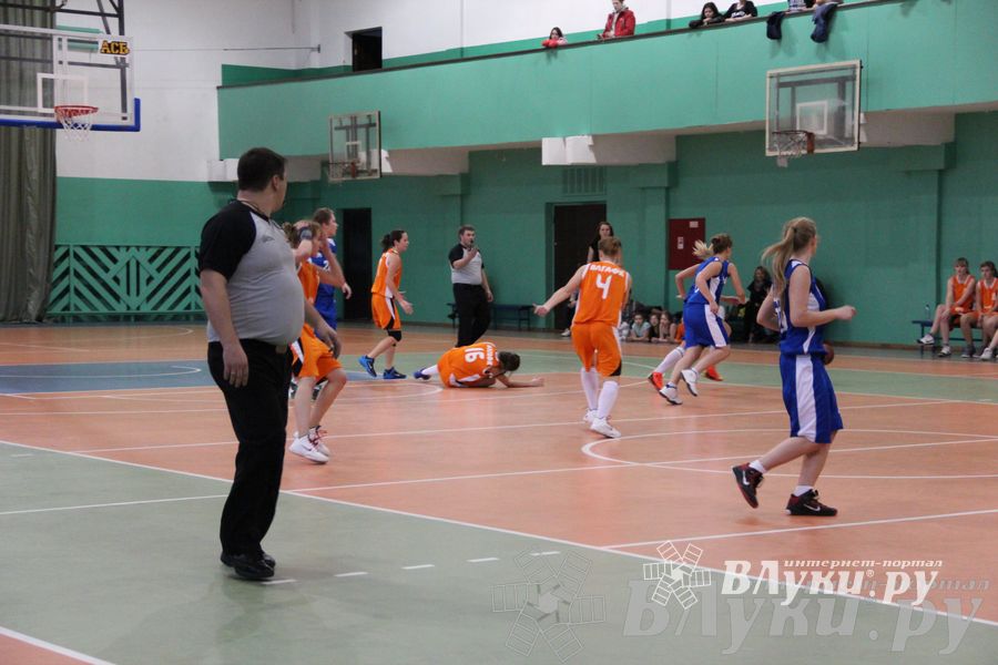 Чемпионат России по баскетболу АБС дивизион Запад